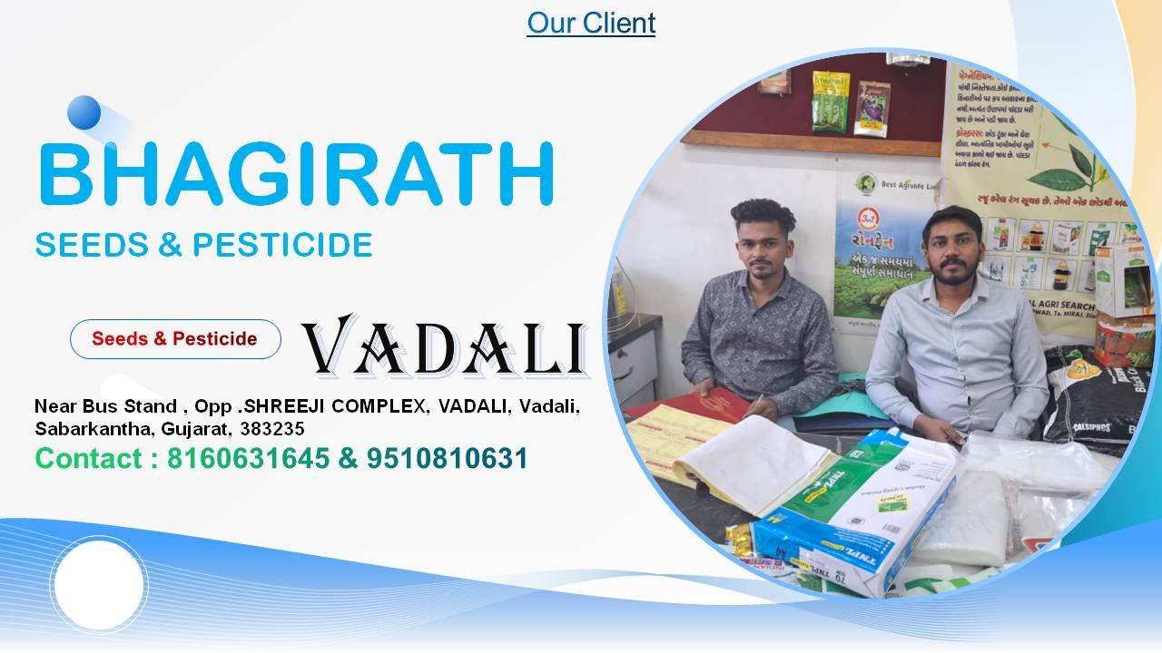 Solver Infotech